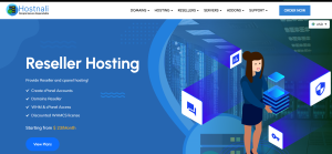 Reseller Hosting in Nigeria