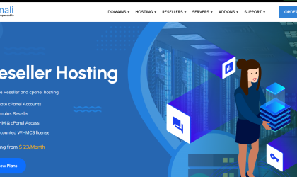 Reseller Hosting in Nigeria