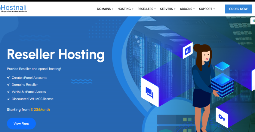 Reseller Hosting in Nigeria