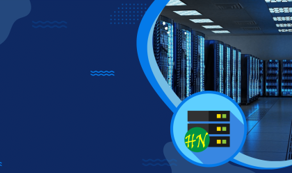 Web Hosting in Maiduguri